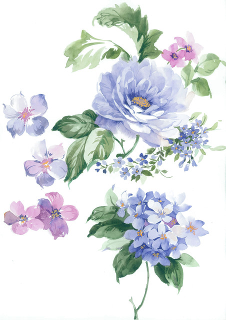 shutterstock 2367464653 Copy.jpg