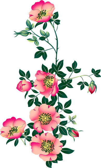 02 Flower.png
