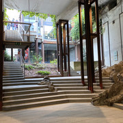 IMG-2650