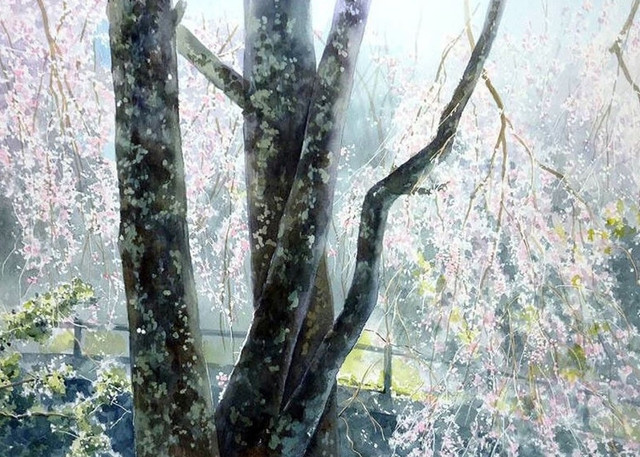 scale-12005