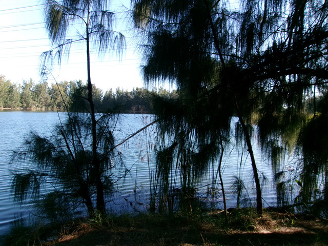 100 0115.jpg