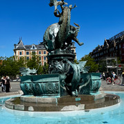 IMG 9761
