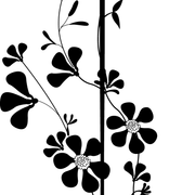 01a899e5304d39b3dccbe84cab2cc1cc