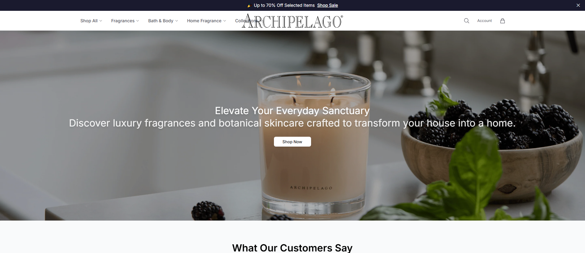 Stored capture of archipelagowarehouse.shop