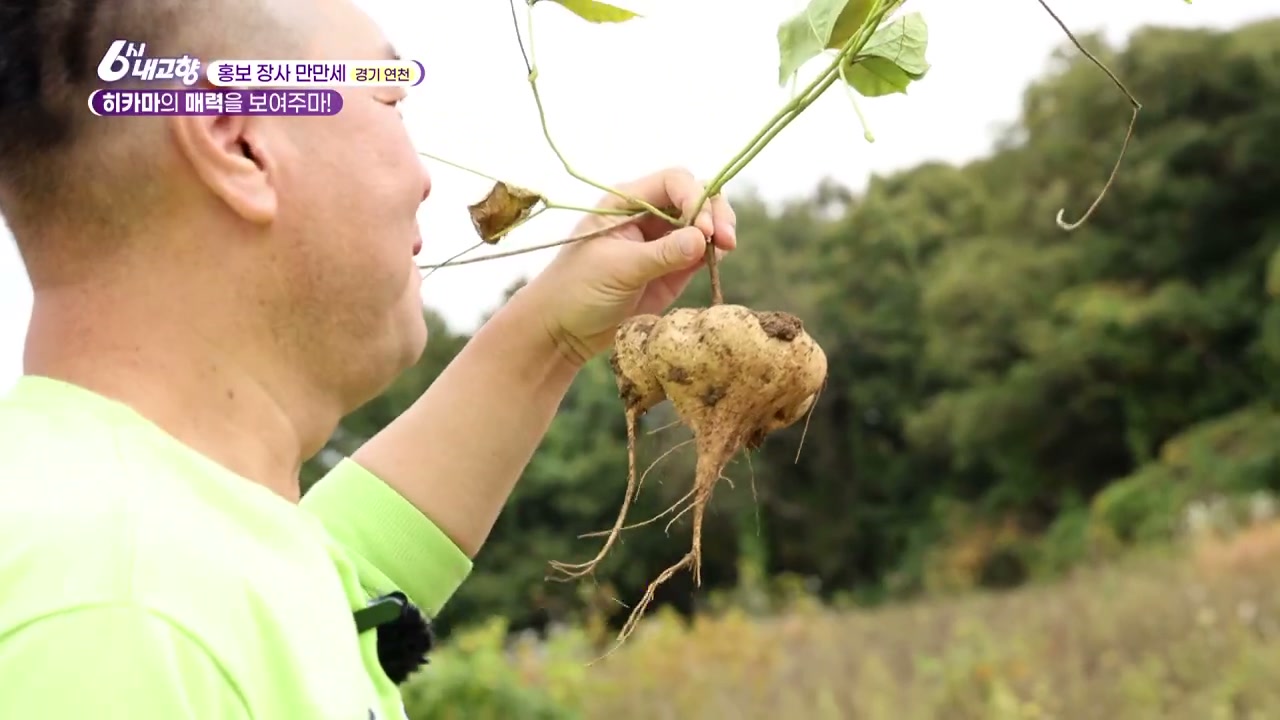 6시내고향 홍보장사만만세 연천 히카마 추가 캡처 1