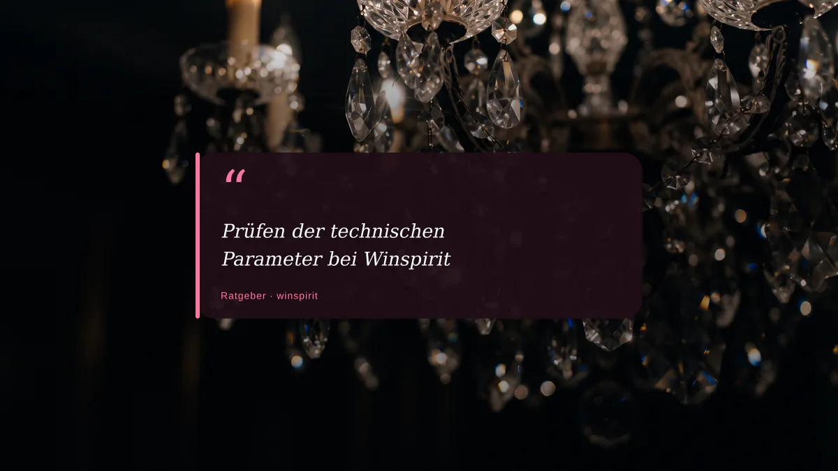 Prüfen der technischen Parameter bei Winspirit