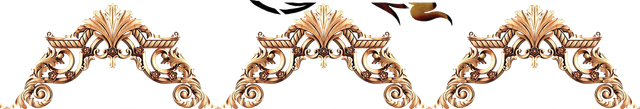 Layer-20.png