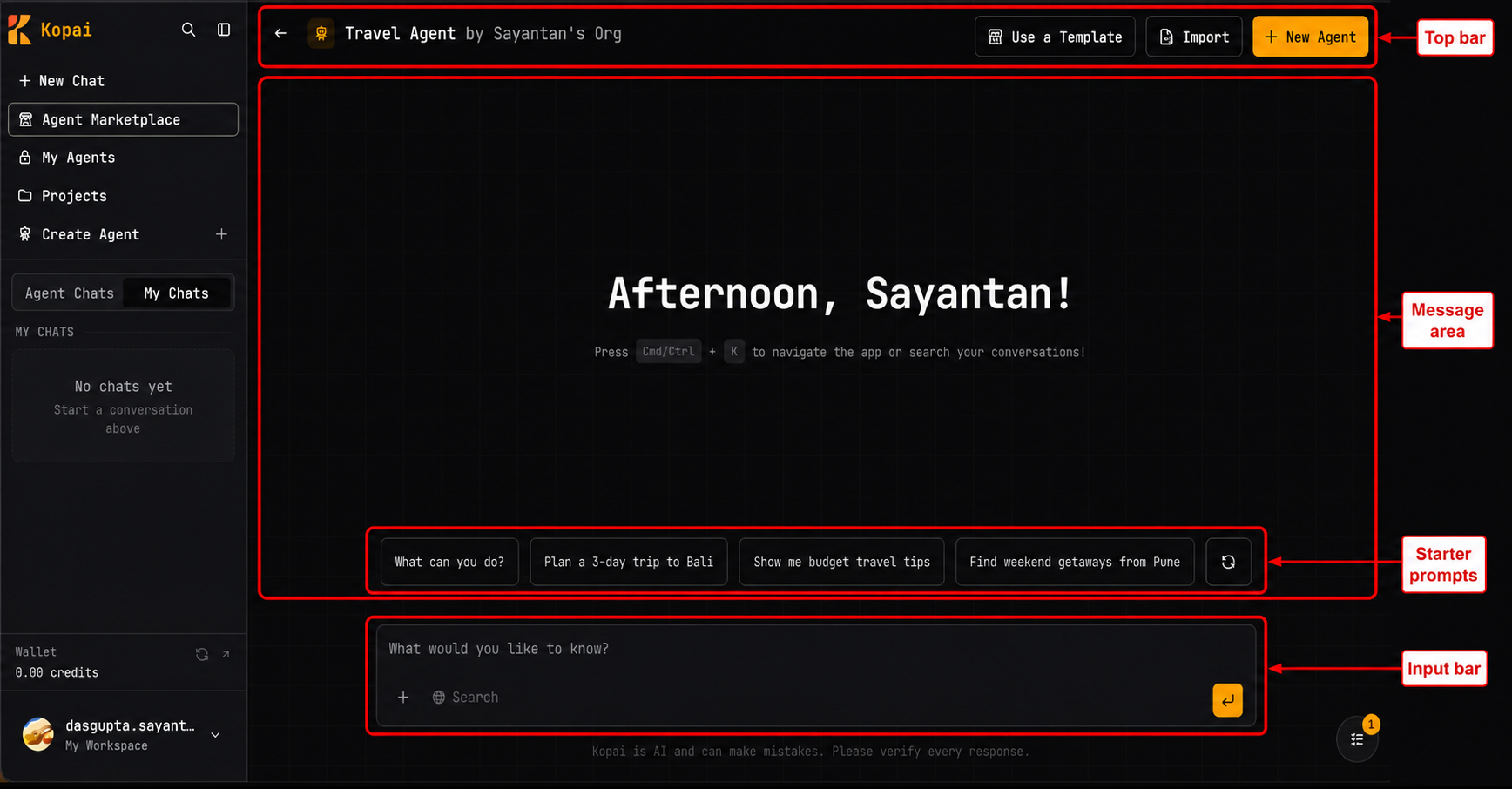 Chat interface overview