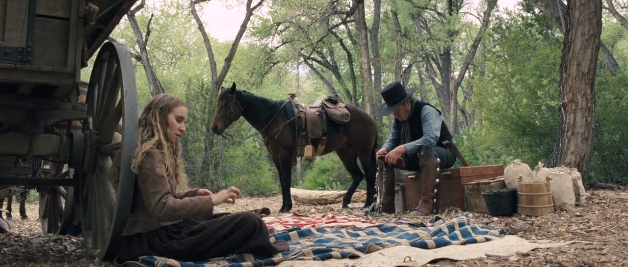The Homesman Screenshot