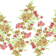 b1c8e0094493f9899353a0bdf532a4e5
