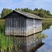 IMG-0509