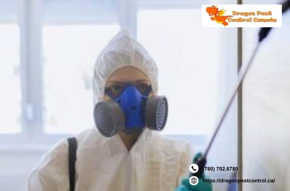 Cockroach Control Edmonton | Dragonpestcontrol.ca