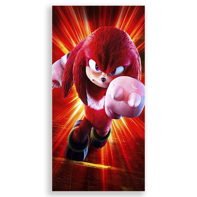 31001563-Sonic