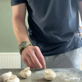 IMB-ry-D5-ST.gif