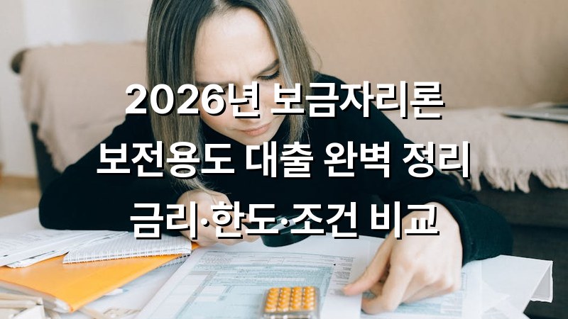 보금자리론 보전용도 대출