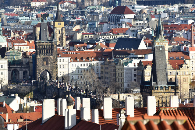 DSC 2441.jpg