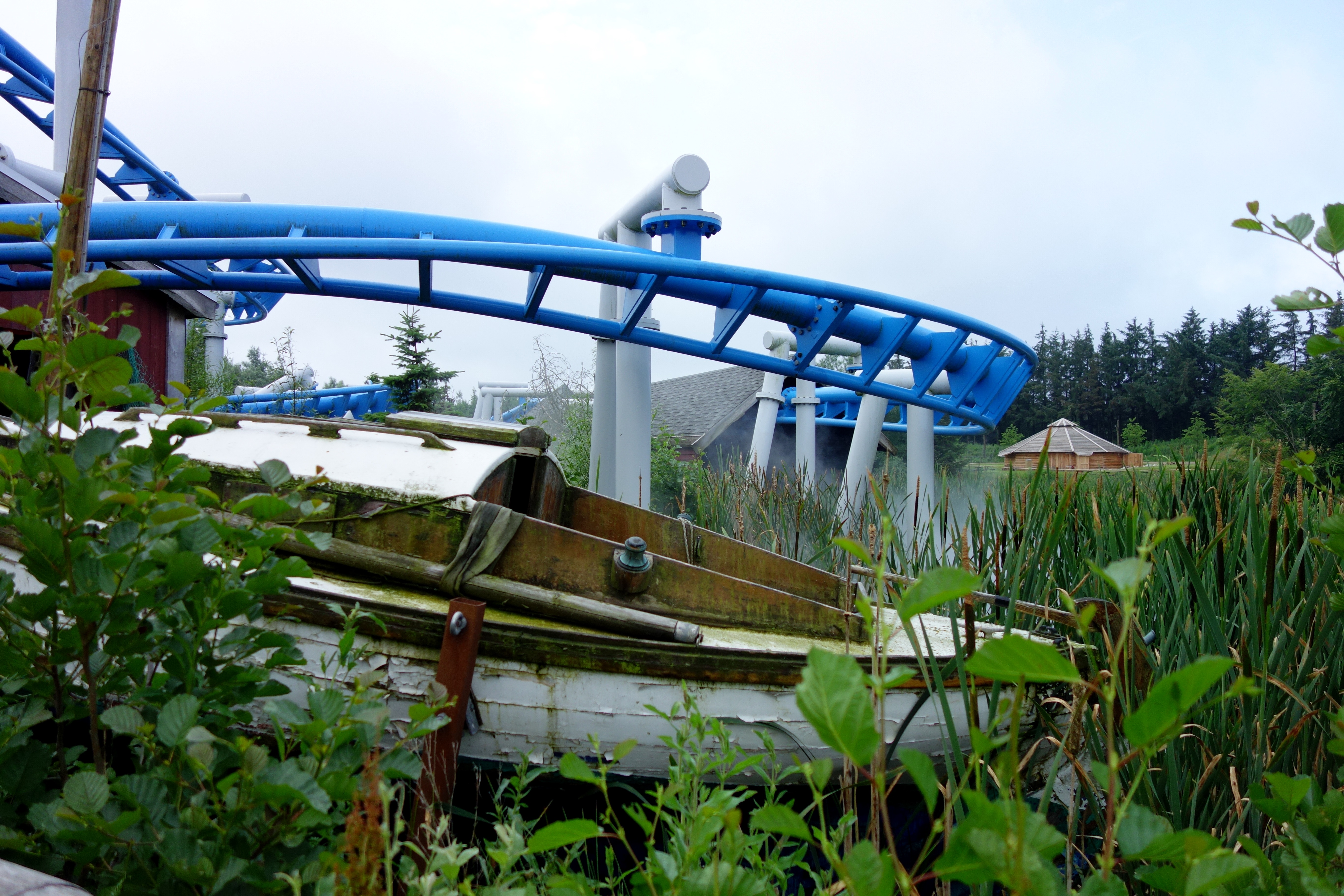 DSC09500