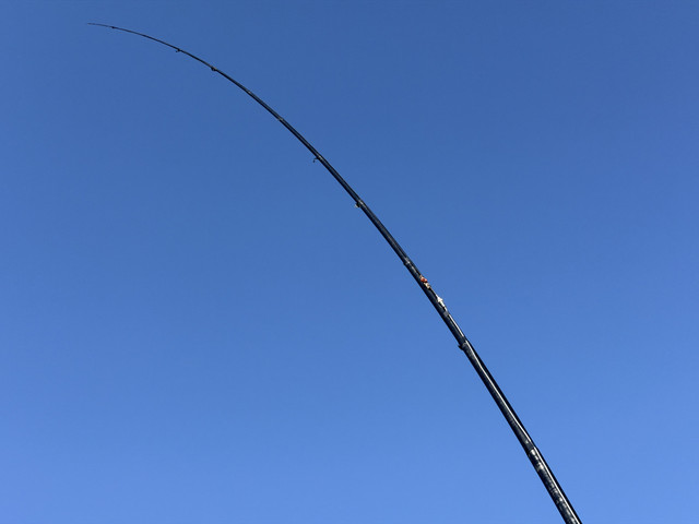 IMG-0275.jpg