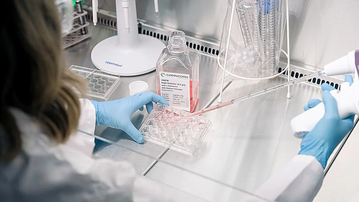 Epilepsy Drug Affects Brain Development in Lab-Grown Cells
