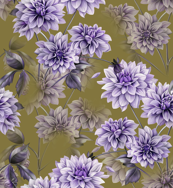 shutterstock 2577513749.jpg