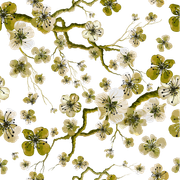 01-394