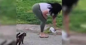 Woman Faces Charges for Contaminating Cat Food with Bleach in Pennsylvania