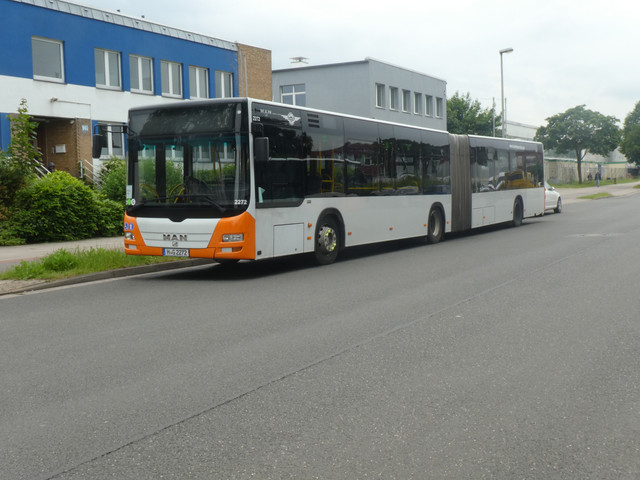 i.ibb.co/ccYQXhBn/Hartmann-2272-2.jpg