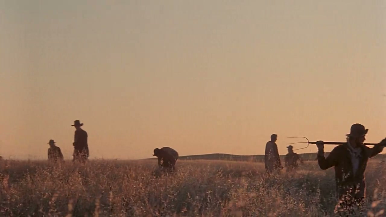Days of Heaven Screenshot