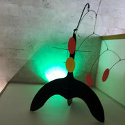 IMG-1607