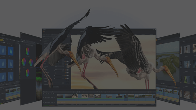Pinnacle-Studio-Banner-2.png