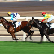 IMG 5998 copy