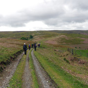 IMGP0139