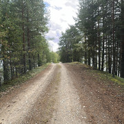 IMG 4553