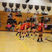 IMG-0038