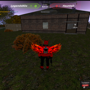 image3