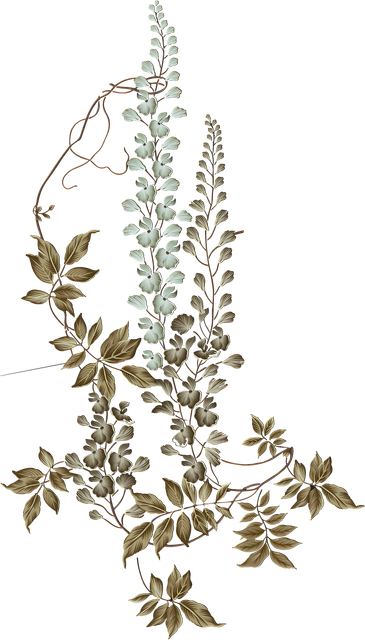 06deefcf707e7526a707700d2cb21c76.png