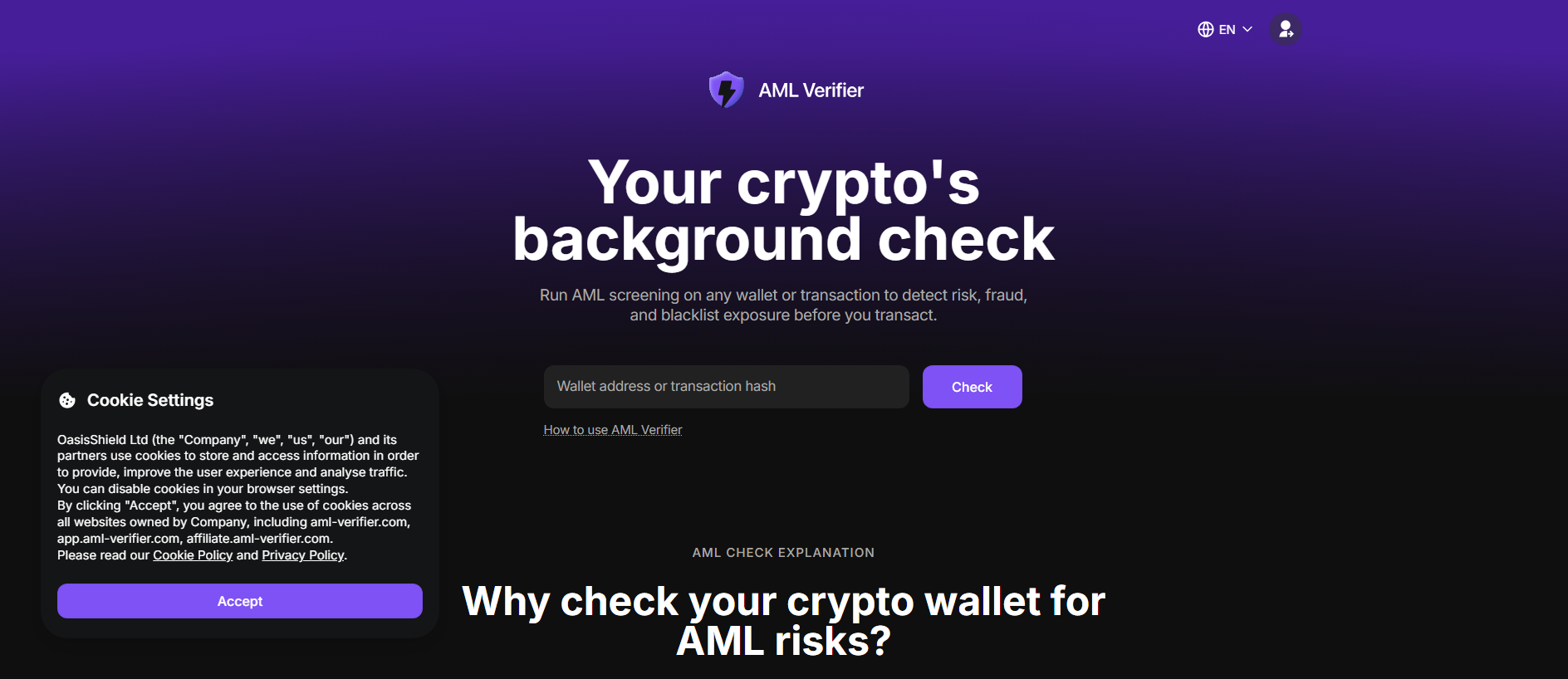 Forensic screenshot of [REDACTED] showing the phishing page layout