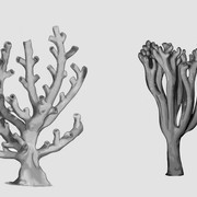 treethings2