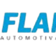 Flamma Automotiva