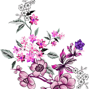 44b59b8562d060af48d3a5eae0949af7