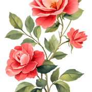 d4db3c95bbaf6317b83a80bc1f21f7ee