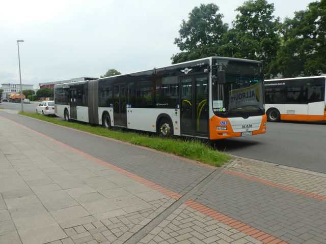 i.ibb.co/ccwvy74b/Hartmann-2272-1.jpg