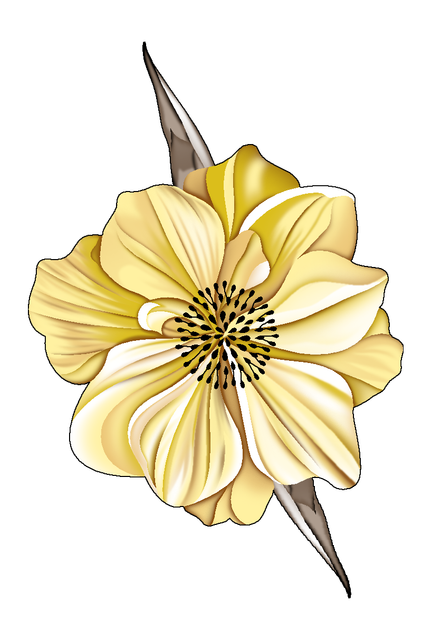 ed326dd5b6e2de4b77877477b1cce20f 1.png