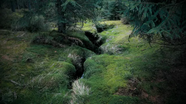okoli-krasneho-potoka.webp