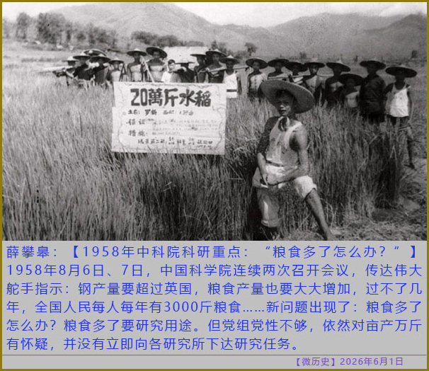 https://i.ibb.co/cdPjj2j/20260601-ls-5.jpg