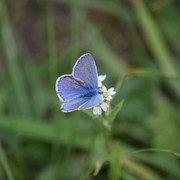 DSC 0189