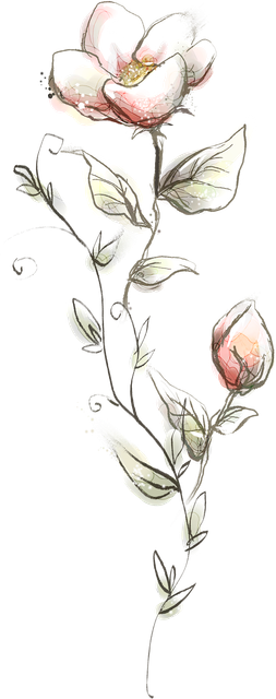 pngegg (71).png