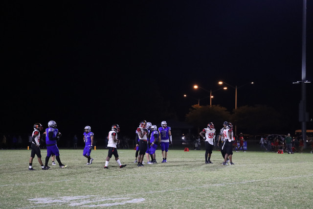 IMG-1504