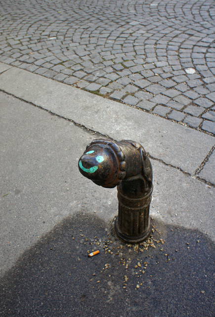 SONY-DSC.jpg