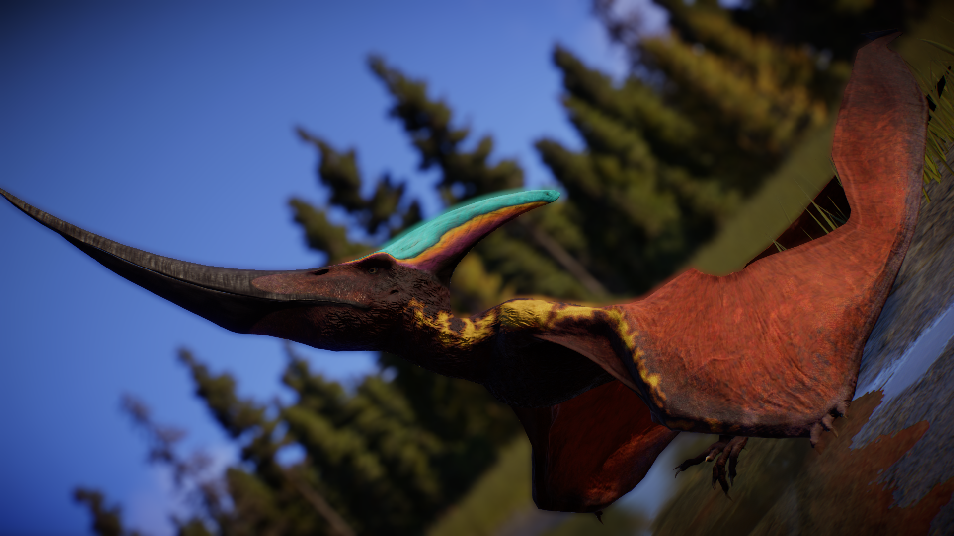 Pteranodon longiceps 缩略图